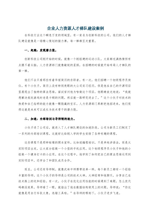 企业人力资源人才梯队建设案例