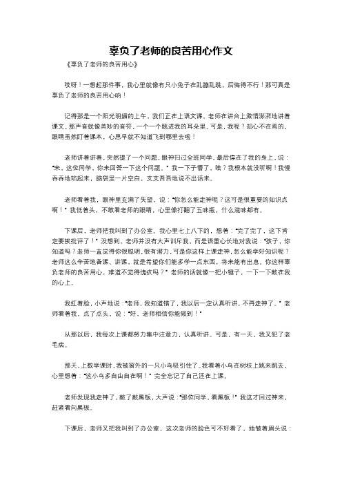 辜负了老师的良苦用心作文