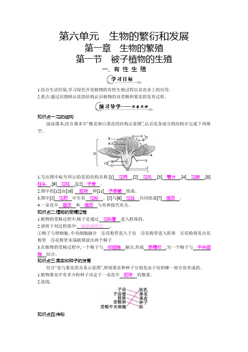 2016春冀教版生物八下6.1.1《被子植物的生殖》(有性生殖)word导学案