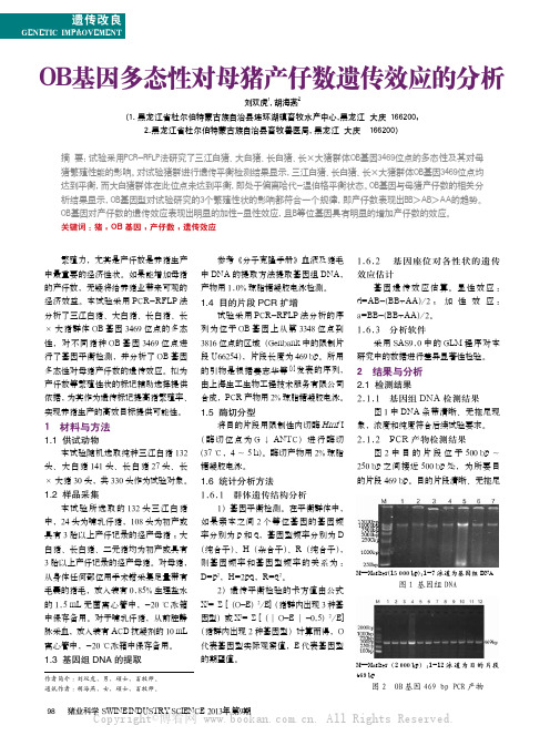 0B基因多态性对母猪产仔数遗传效应的分析