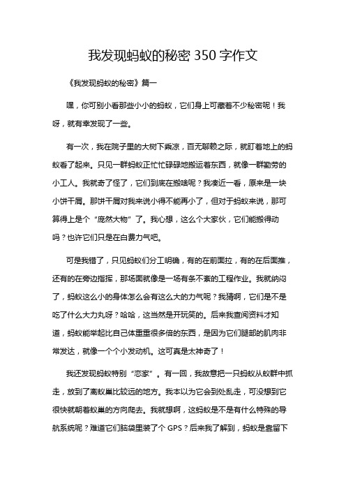 我发现蚂蚁的秘密350字作文