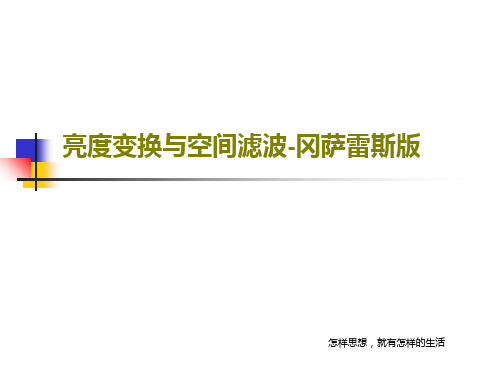 亮度变换与空间滤波-冈萨雷斯版35页文档