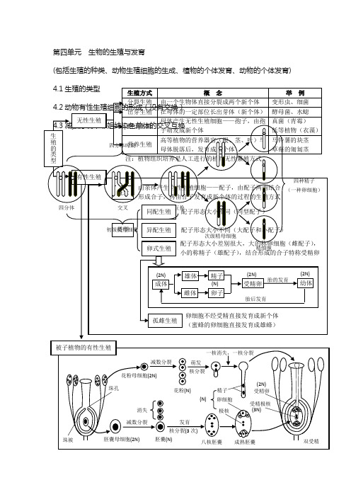 广东省中山市2018届高考生物：知识网络系列第四单元 生物的生殖与发育