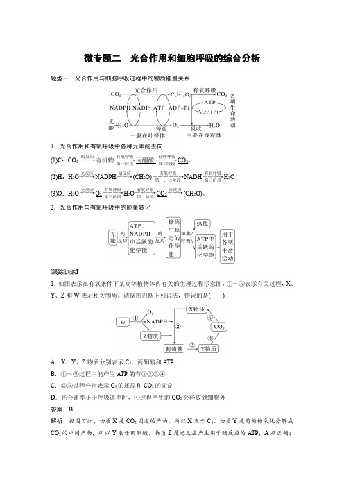 2024届高考一轮复习生物教案(苏教版)：光合作用和细胞呼吸的综合分析