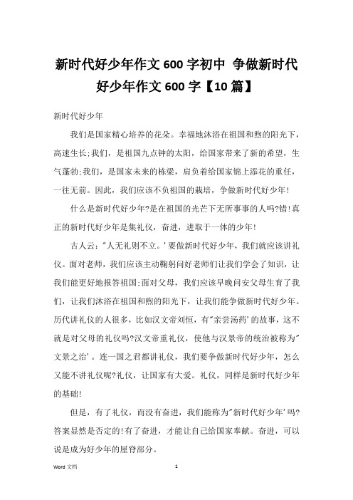 新时代好少年作文600字初中 争做新时代好少年作文600字【10篇】