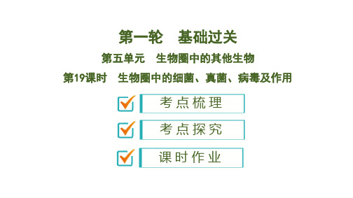 2020版中考生物新突破大一轮复习第19课时 生物圈中的细菌、真菌、病毒及作用