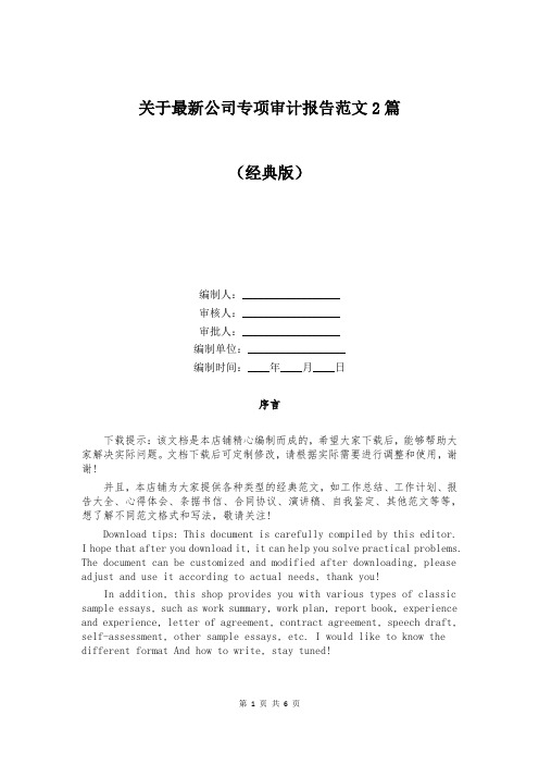 关于最新公司专项审计报告范文2篇