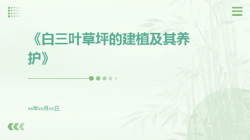 白三叶草坪的建植及其养护