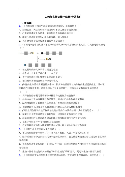 人教版生物必修一试卷(含答案)