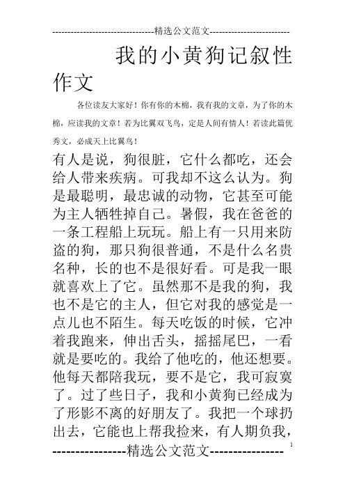 我的小黄狗记叙性作文