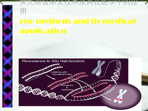 FISH技术及其临床应用