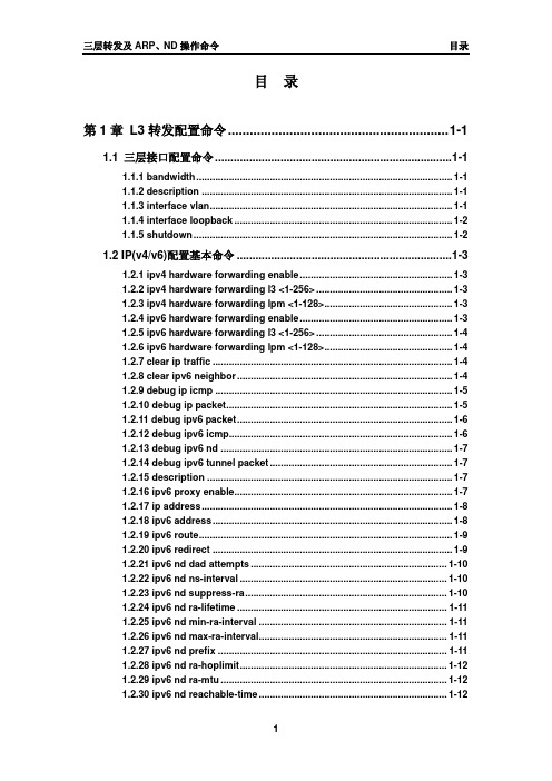 06_三层转发及ARP、ND操作命令