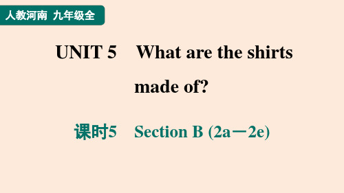 人教版九年级全一册英语同步培优Unit 5 课时5 Section B (2a-2e)