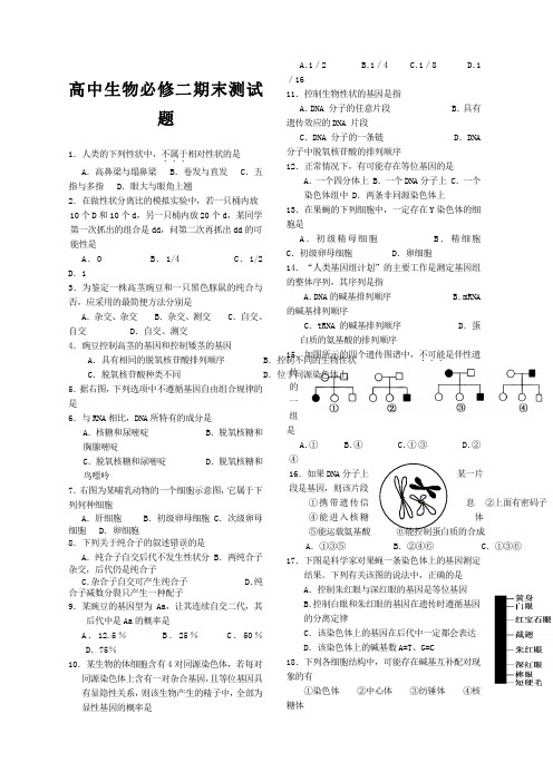 高中生物必修二期末试题及答案