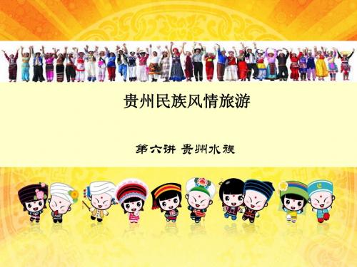 水族文化 杨丹
