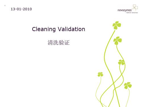 4 Cleaning Validation