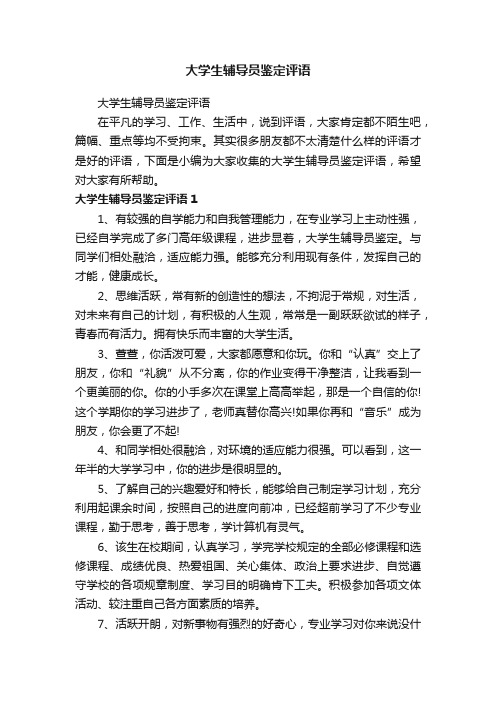 大学生辅导员鉴定评语