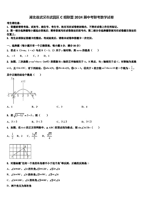 湖北省武汉市武昌区C组联盟2024届中考联考数学试卷含解析