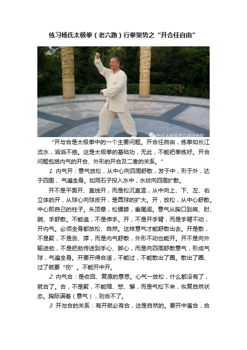 练习杨氏太极拳（老六路）行拳架势之“开合任自由”