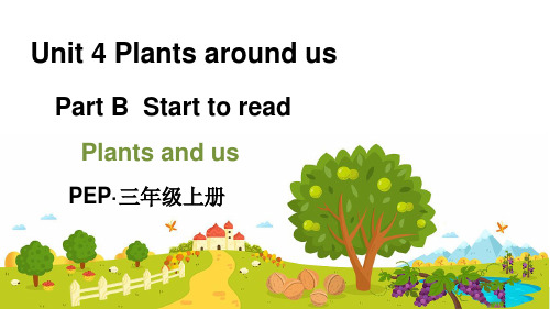 人教PEP三年级英语上册《Unit4Plants around us Part  B》 第2课时课件