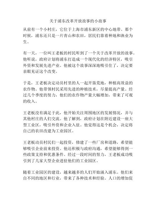 关于浦东改革开放故事的小故事