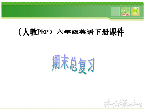 人教PEP版英语六年级下册《期末总复习》课件