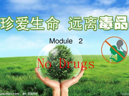 no_drugs单词讲解