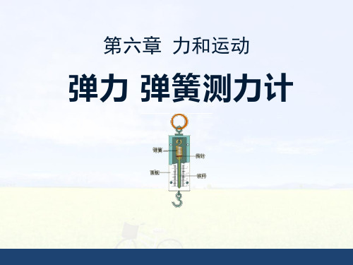 《弹力弹簧测力计》教学课件(19张PPT)