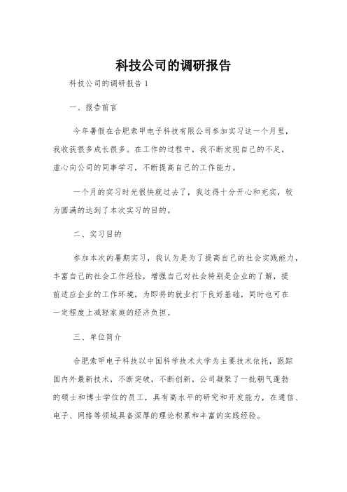 科技公司的调研报告