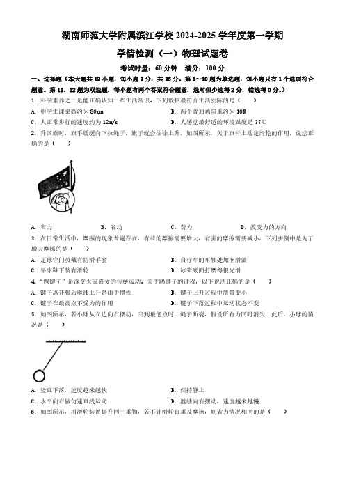 湖南省长沙市湖南师大附中附属滨江学校2024-2025学年九年级上学期入学检测物理试题(含答案)