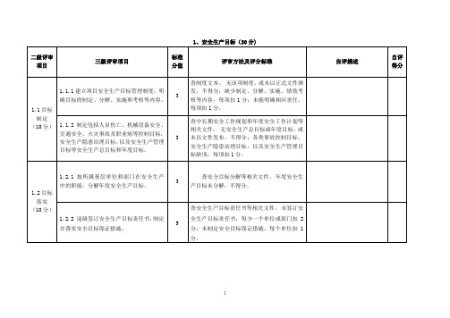 水利安全生产标准化自评报告评审表格