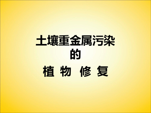 土壤重金属污染的植物修复