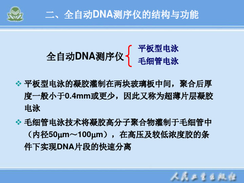 全自动DNA测序仪的结构与功能