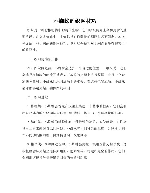 小蜘蛛的织网技巧