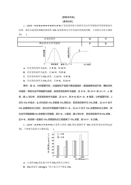 2020高考人教版生物大一轮复习练习：第11讲 光合作用的影响因素 Word版含解析