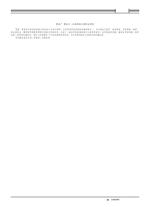 铁冬青轻基质容器绿化大苗培育技术