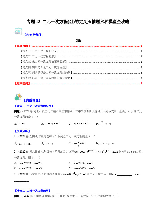 专题13 二元一次方程(组)的定义压轴题五种模型全攻略(原卷版)