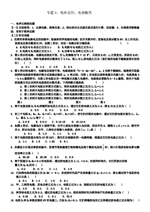 九年级物理复习专题8：电学比例、电表相关