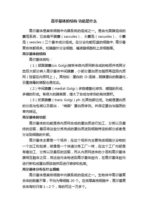 高尔基体的结构功能是什么