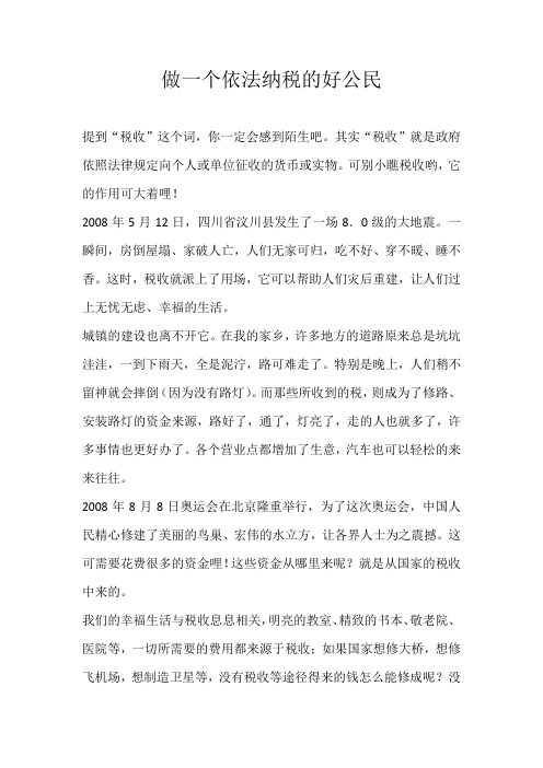 初一话题做一个依法纳税的好公民