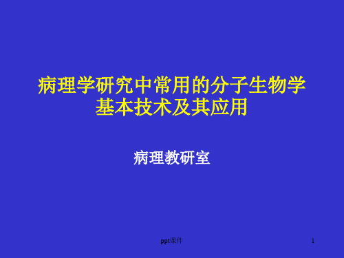 病理学研究中常用的分子生物学基本技术及其应用  ppt课件