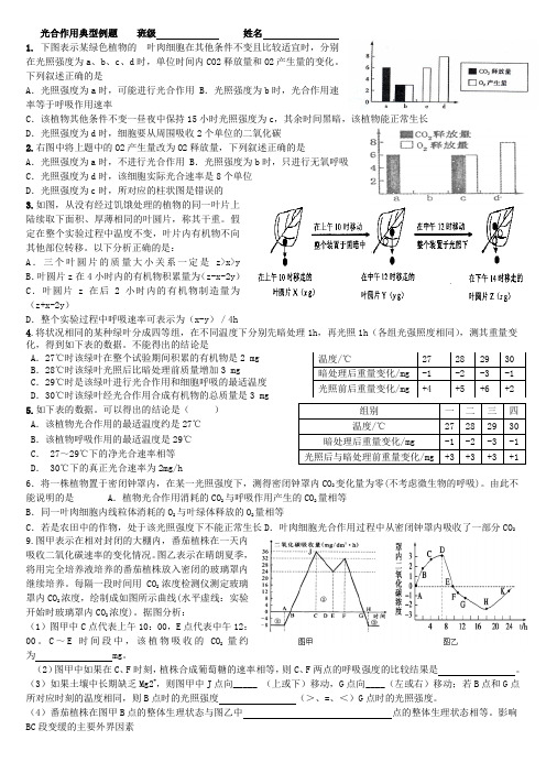 光合作用典型例题增加