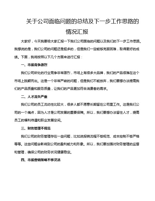 关于公司面临问题的总结及下一步工作思路的情况汇报