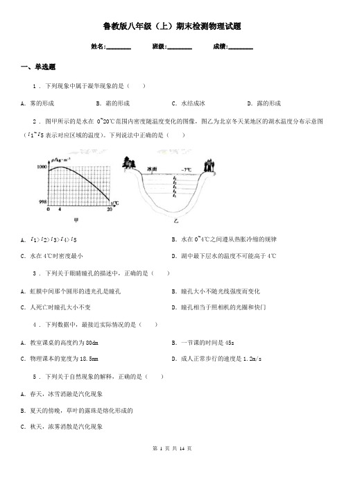 鲁教版八年级(上)期末检测物理试题