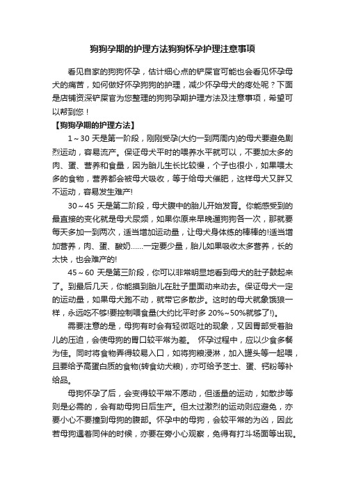 狗狗孕期的护理方法狗狗怀孕护理注意事项