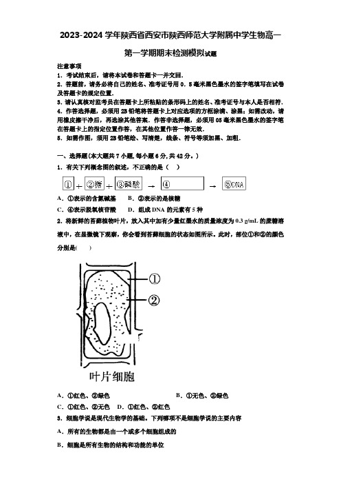 2023-2024学年陕西省西安市陕西师范大学附属中学生物高一第一学期期末检测模拟试题含解析