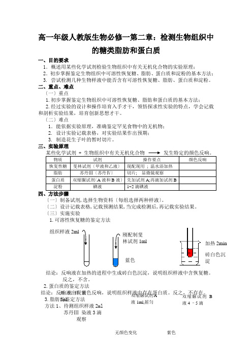 高一年级人教版生物必修一第二章：检测生物组织中的糖类脂肪和蛋白质