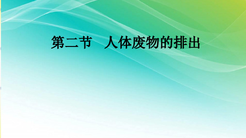 苏教版七年级下册生物第十一章《第二节 人体废物的排出》课件(共20张PPT)