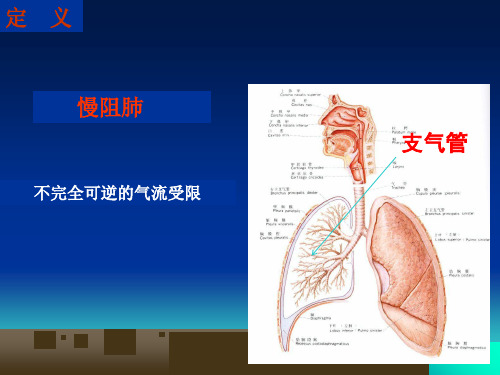 慢阻肺专家共识.PPT