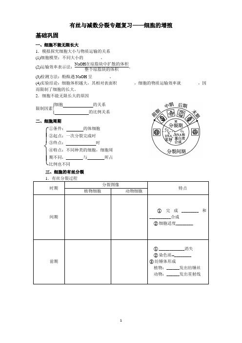 有丝分裂丝与减数分裂专题复习